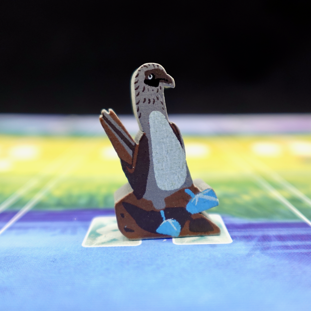 Wingspan: Player Bird Token Sets (Meeple Source)