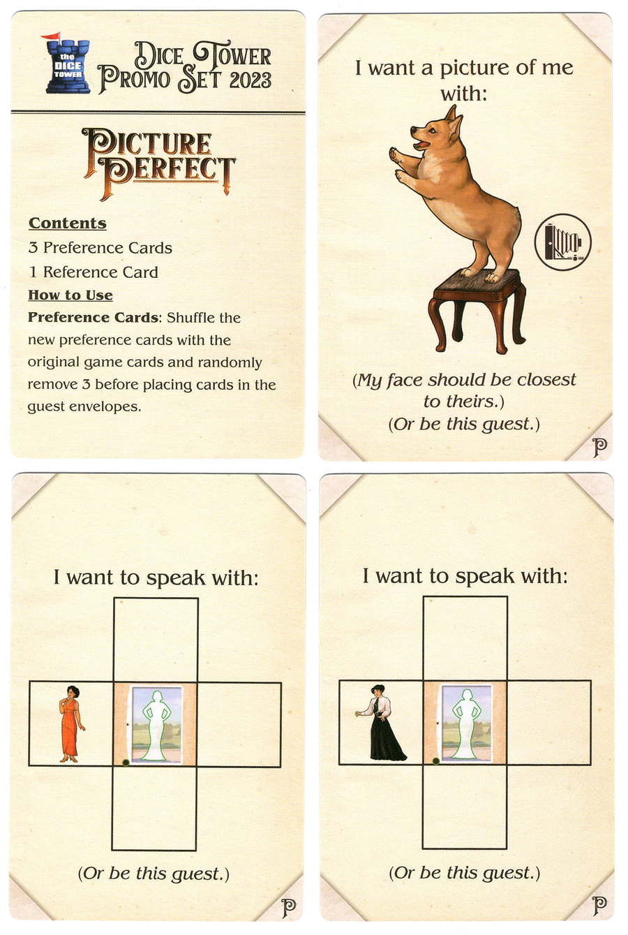 A set of four cards arranged in a 2x2 square on a white background, for use with the board game Picture Perfect. The top left card is an instruction sheet for the other three cards. The top right card has an illustration of a dog on its hind legs balancing on top of a stool. The bottom two cards each have a diagram of five squares and an illustration of a female figure inside one square.
