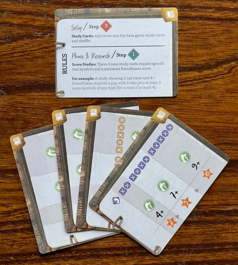 Fox Experiment, The: Study Promo Cards