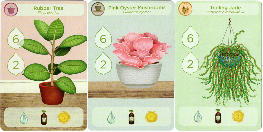 Planted: Plants Promo