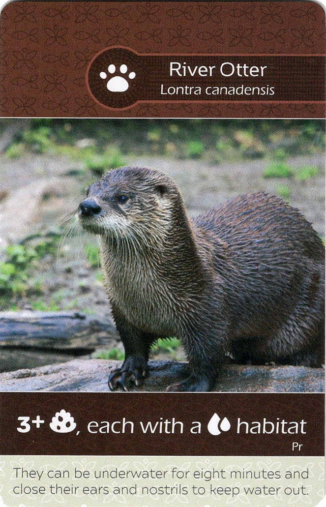 Earth: River Otter/Turtles Promo Card