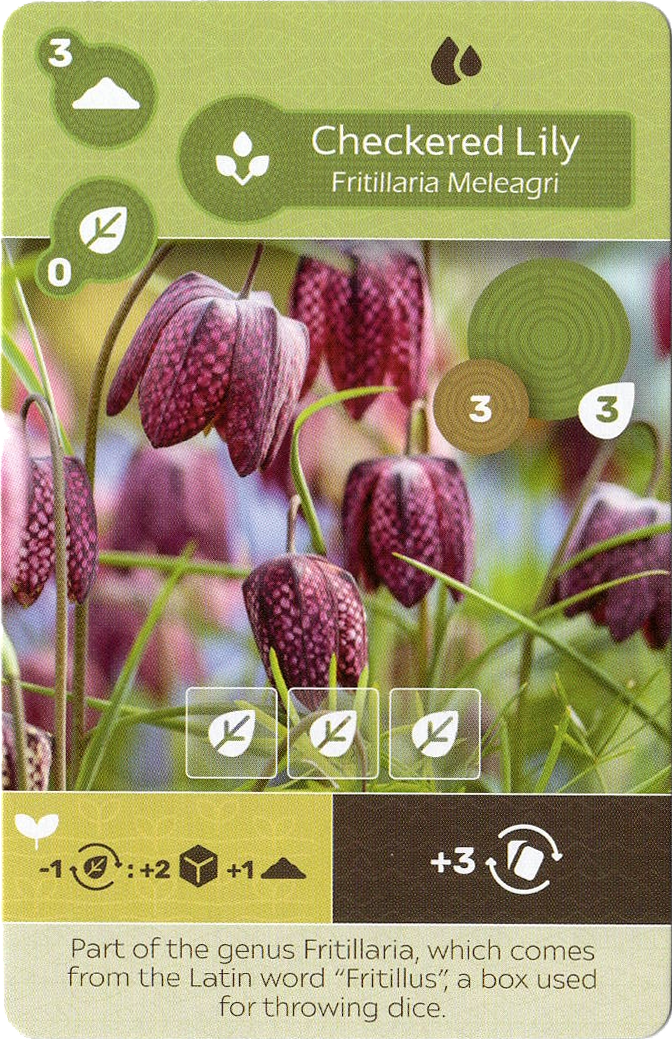 The Checkered Lily promo card for use in the board game Earth. This card displays the title at the top, a photo of a checkered lily in the center, and a combination of symbols and text at the bottom.