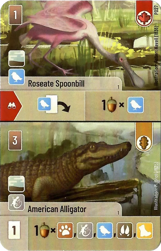 Forest Shuffle: Roseate Spoonbill / American Alligator Promo Card