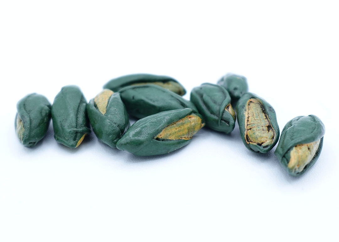 A close up photo of a group of tokens shaped and painted to look like ears of corn with the husks partially pulled back, sitting on a white background.