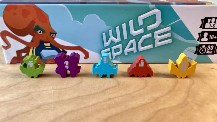 Wild Space: Upgraded Space Ships