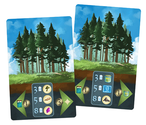 Two of the 10 cards in the Groves mini-expansion for the board game Above & Below. Each card depicts trees on the top half and symbols that describe the card's effect on the bottom half.