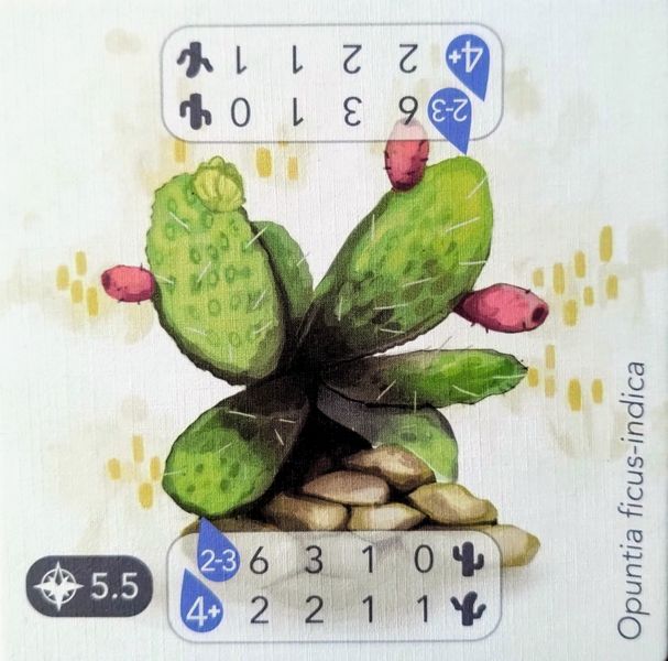 Petrichor - Maltese Cactus Promo for use with the board game P, Petrichor, sold at the BoardGameGeek Store
